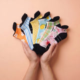 Spring Ankle Compression 6pk Relief Box *Limited Edition*