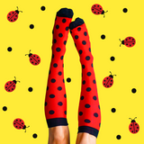Classic Lady Beetle Compression Socks